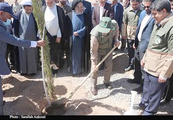 عملیات کاشت ۶۰ میلیون درخت در استان کرمان آغاز شد