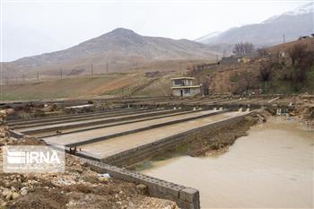 ۵۷ طرح منابع طبیعی در جنوب کرمان افتتاح یا کلنگ زنی می‌شود