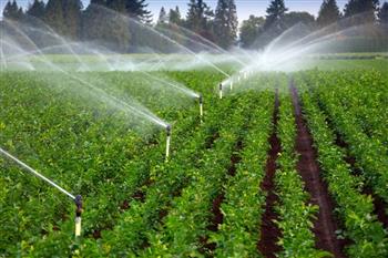 رییس سازمان مدیریت بحران بهره وری آب بخش کشاورزی تنها ۳۵ درصد است
