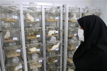 نخستین طرح مرکز تحقیقات حیوانات آزمایشگاهی جنوب کرمان کلید خورد