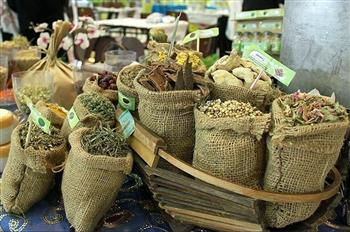 عشایر جنوب کرمان سالانه سه هزار تن گیاه دارویی تولید می‌کنند