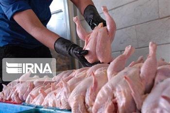 دادستانی کرمان به ساماندهی بازار مرغ ورود کرد