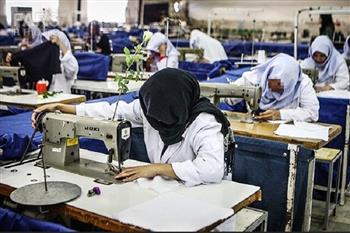 نرخ فعالیت خانم‌ها در کرمان ۱۳.۶ درصد است