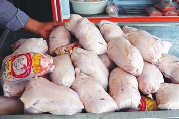بیش‌از یک‌سوم گوشت مرغ استان کرمان در رفسنجان تولید می‌شود