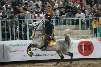 شوی اسب سواره ایران در رفسنجان به خط پایان رسید