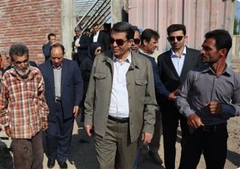رایحه خوش «ترخون» برای شکوفایی اقتصادی گلباف استان کرمان