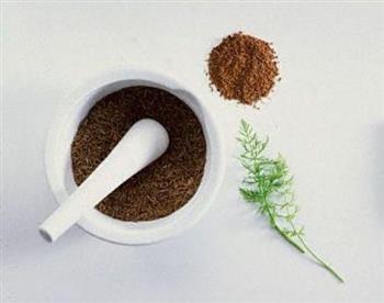 زیره سیاه ایرانی (زیره کرمان، زیره کوهی) طلای سیاه کویر