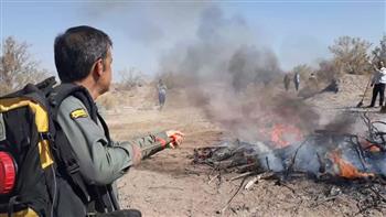 برگزاری مانور اطفای حریق در عرصه‌های جنگلی و مرتعی شهرستان کرمان