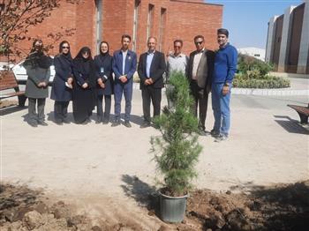 پیوند نمادین سلامت و طبیعت