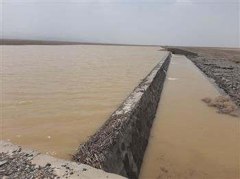 مدیریت علمی آب در کرمان؛ حفظ خاک، رطوبت و حیات طبیعی در سایه آبخیزداری