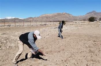 توسعه کشت گیاهان دارویی مناسب با اقلیم و شرایط کم آبی در ایستگاه تحقیقاتی رابر