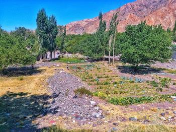 راه‌اندازی خانه صنایع دستی دهبکری بم