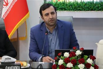 ورود میانگین ماهیانه 1800 پرونده تصادف جرحی به محاکم قضایی استان کرمان