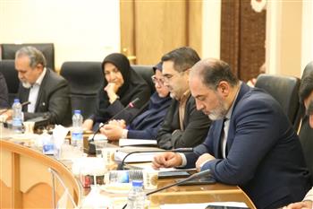 طرح «اقدام مدیریت محله‌محور» برای انسجام اجتماعی در کرمان کلید خورد