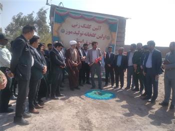 گلخانه موز در بم گامی مهم در توسعه کشت‌های گرمسیری