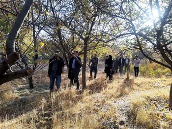 رابر، الگوی موفق مدیریت هوشمند آفات