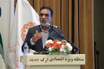 مدیرکل بهزیستی استان کرمان در همایش تخصصی «از دل حادثه تا افق تاب آوری» :