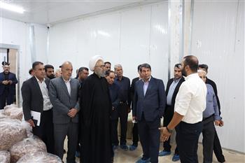 بازدید استاندار کرمان از کارخانه فرآوری محصولات کشاورزی پایا رستاخیز شهداد
