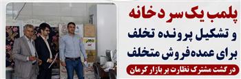 پلمب یک سردخانه و تشکیل پرونده تخلف برای عمده‌فروش متخلف در گشت مشترک نظارت بر...