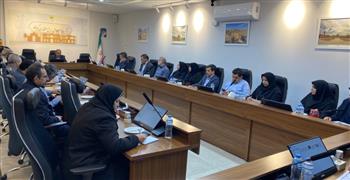 نشست بررسی سطح بلوغ فرآیند سازمانی در شرکت برق منطقه‌ای کرمان برگزار شد