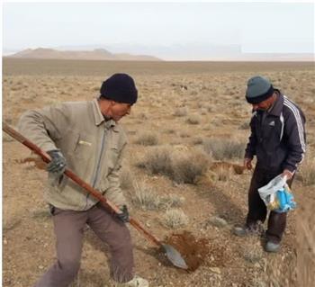 مشارکت فعال جوامع محلی، کلید موفقیت در پروژه‌های حفاظتی و توسعه پایدار