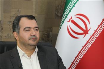 حدود 1800 کیلومتر شبکه و خطوط انتقال گاز در استان کرمان اجرا شد