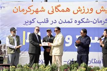 استاندار، تبلور مدیریت جهادی «تویسرکانی» را ارج نهاد