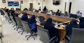 کرمان رتبه نخست کشور در تجدیدپذیرها