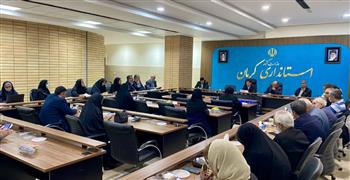 پایداری شبکه برق کرمان با تکیه بر توسعه زیرساخت‌ها و مدیریت انرژی